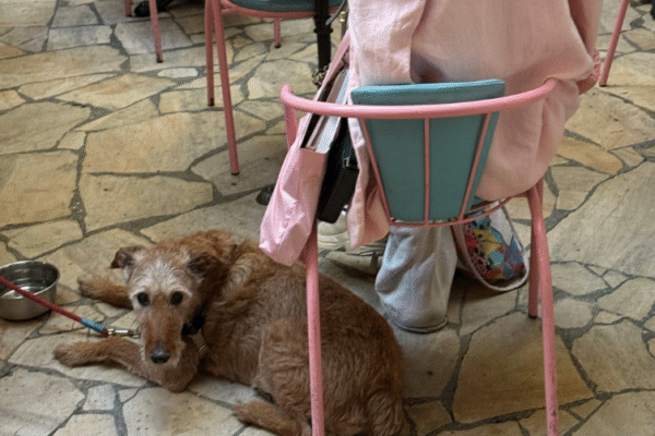 Restaurant Les Merveilleuses