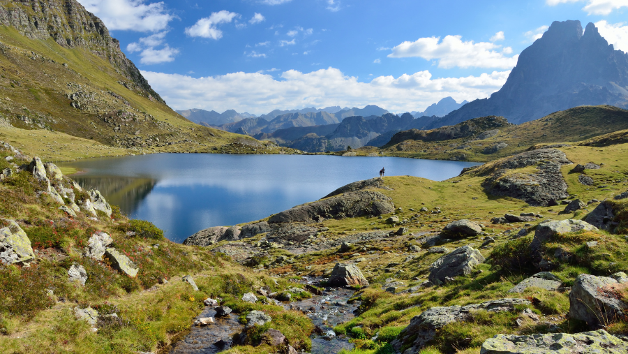 Les Pyrénées où les chiens sont les bienvenus