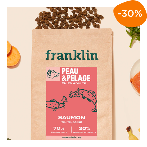 croquettes pour chien peau et pelage franklin