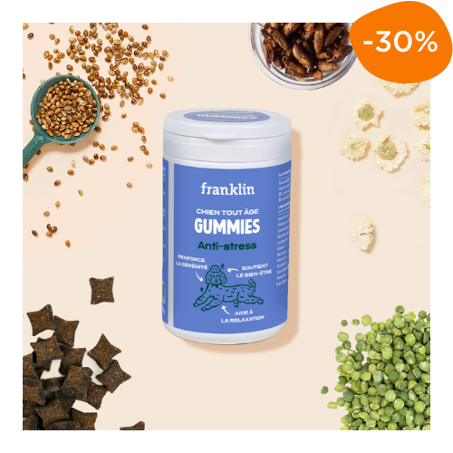 gummies complément alimentaire chien Franklin anti-stress