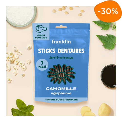 sticks dentaires anti-stress Franklin