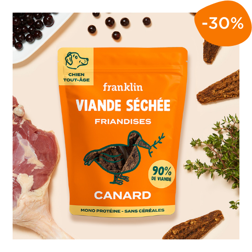 lamelles canard chien Franklin friandises