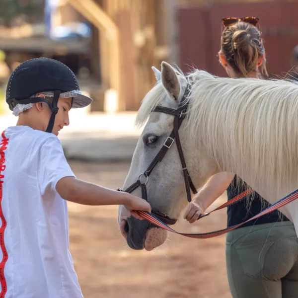 Camping avec équitation en Provence - Camping Domaine de la Sainte-Baume, à Nans-les-Pins, en Provence, dans le Var
