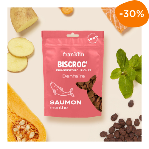 friandises pour chat pour nettoyer les dents Franklin
