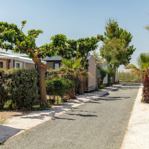 Allée du Camping Le Castellas, entre Sète et Agde, dans l'Hérault