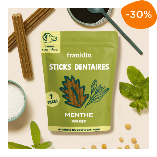 friandise à mâcher chien Franklin