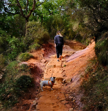 Le Colorado Provençal où les chiens sont les bienvenus, en Provence