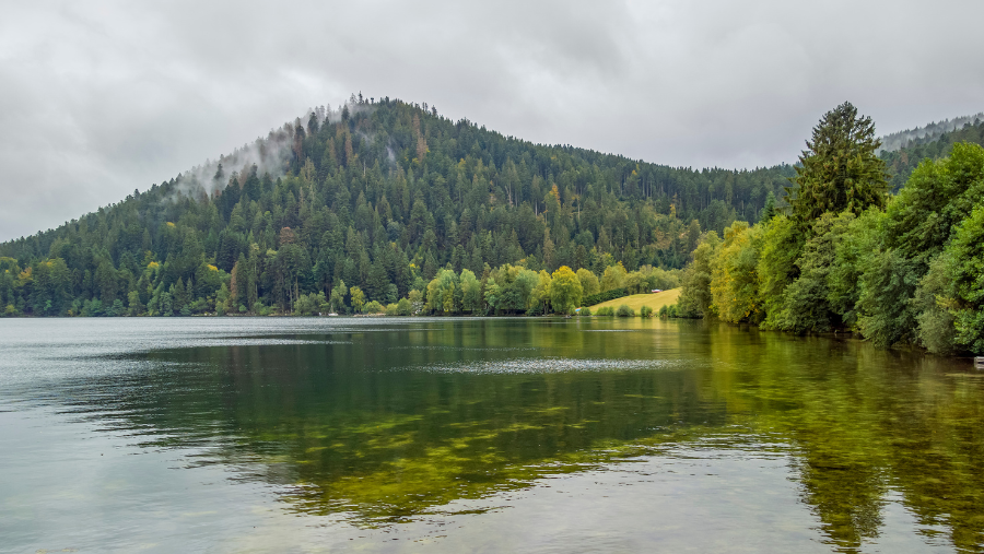 Gerardmer où les chiens sont acceptés, dans les Vosges, dans le Grand Est
