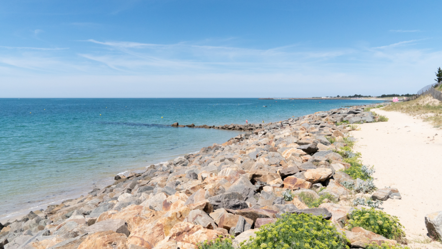 Noirmoutier où les chiens sont acceptés, en Vendée, dans le Pays de la Loire