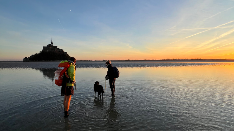 Mont-Saint-Michel où les chiens sont acceptés, dans la Manche, en Normandie