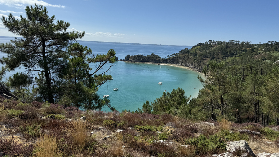 Île Vierge où les chiens sont acceptés, dans le Finistère en Bretagne