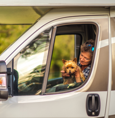 Chiens dans camping partenaire ACSI