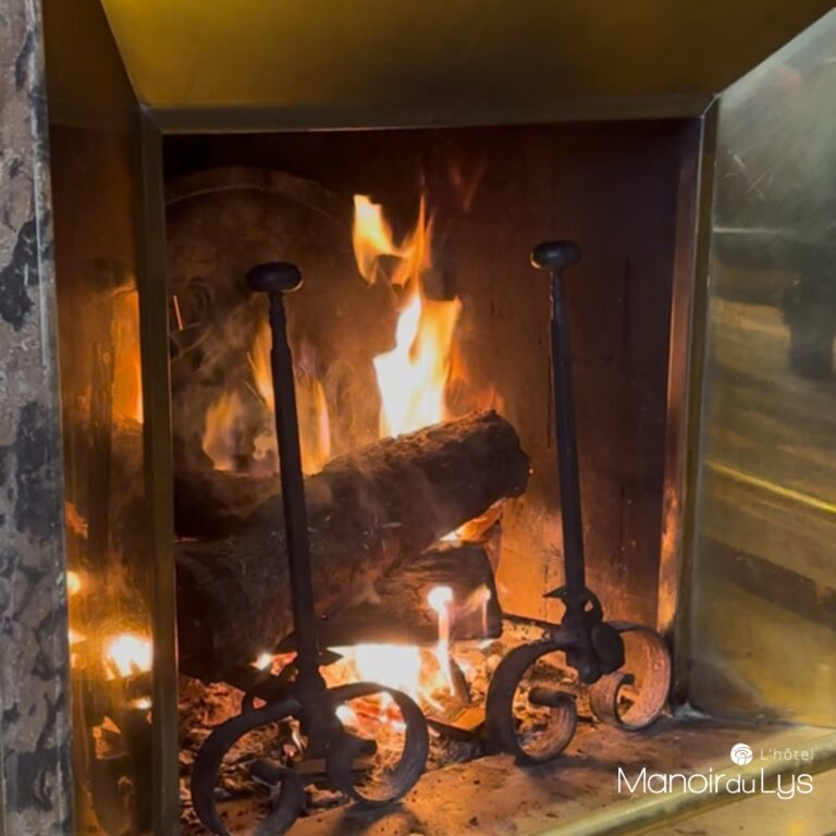 Feu de cheminée dans le salon - Le Manoir du Lys en Normandie dans l'Orne