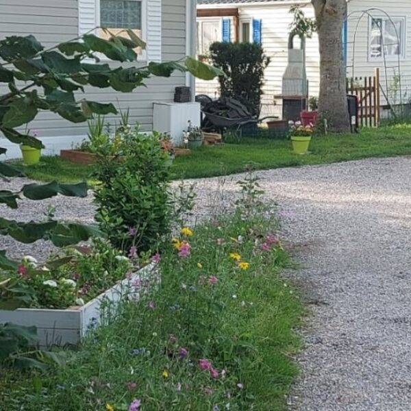 Allée du Camping du Grand Pré à Long dans la Somme