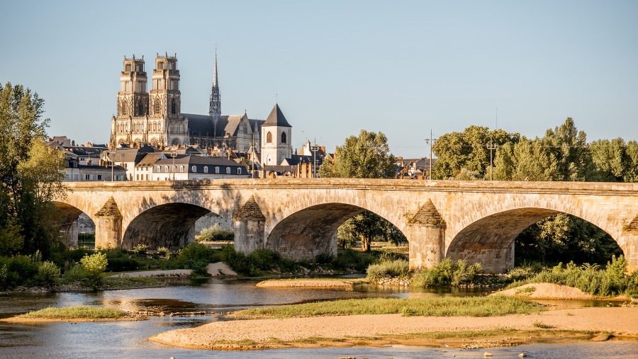 Orléans où les chiens sont acceptés, dans le Loiret, dans le Centre-Val-de-Loire