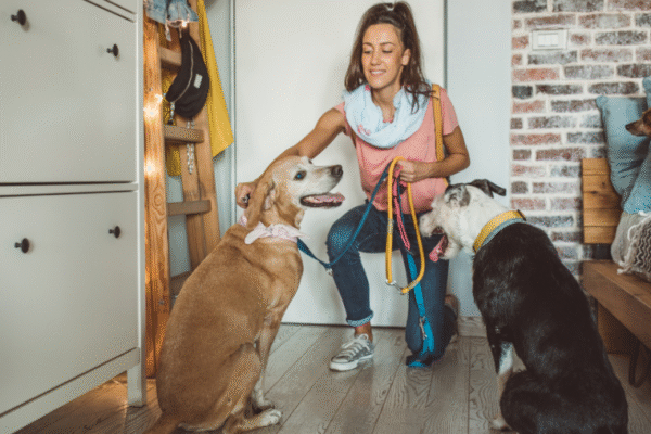 Trouver un petsitter à domicile grâce à Blooming Pets : l’avis de Musher et Sophie