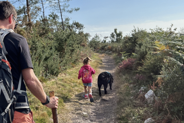 Où voyager dans la partie Nord de la France avec son chien ?