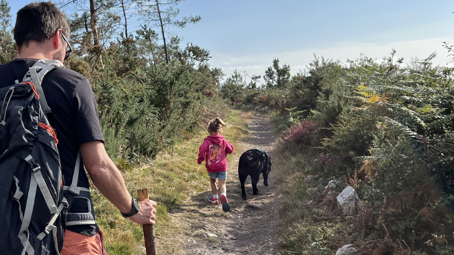 Où voyager dans la partie Nord de la France avec son chien ?