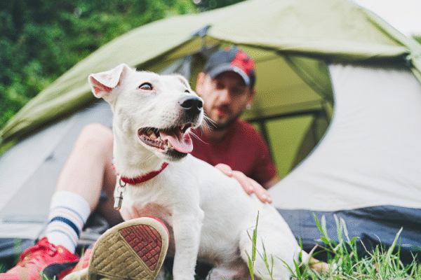 Chèques vacances ANCF, bons VACAF, carte ACSI.. voyager moins cher avec mon chien