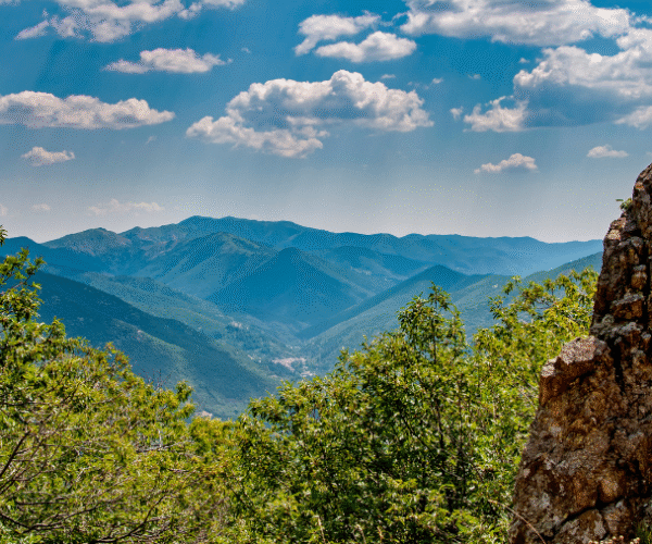 Découvrir les Cévennes avec son chien