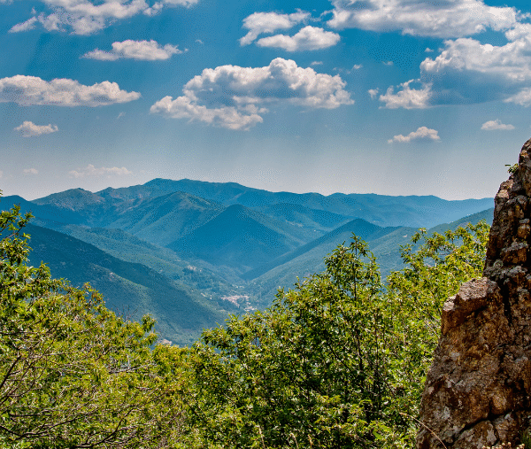 Paysage des Cévennes à explorer avec son chien