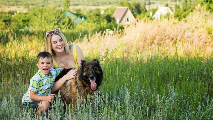 Chèques vacances ANCF, bons VACAF, carte ACSI.. voyager moins cher avec mon chien