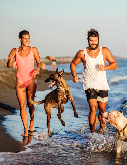 avec plage dog-friendly