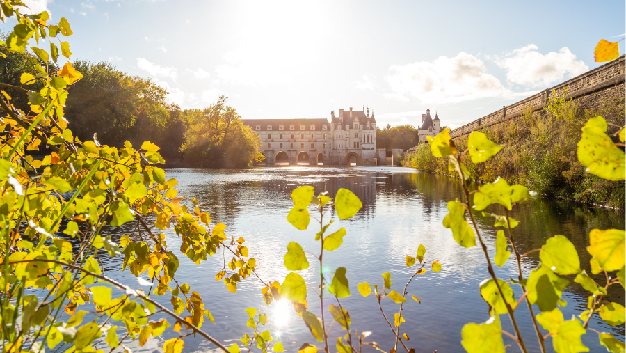 Fleuve de la Loire qui passe sous le Château de Chenonceau pour visiter autour de Tours et Amboise avec son chien