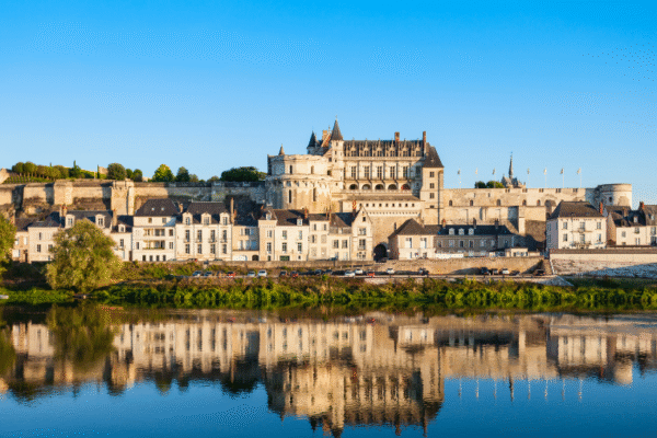Visiter Tours et Amboise avec son chien
