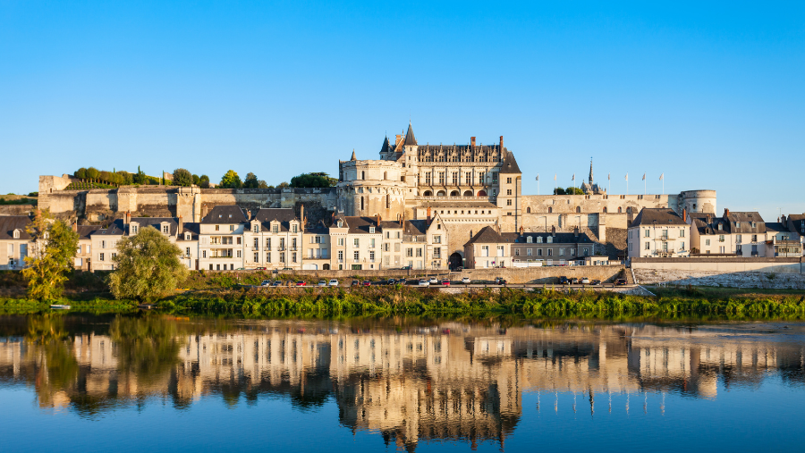 Visiter Tours et Amboise avec son chien