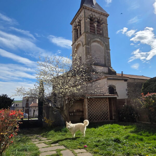 Gîte Le Clos des Laves 100% dogfriendly