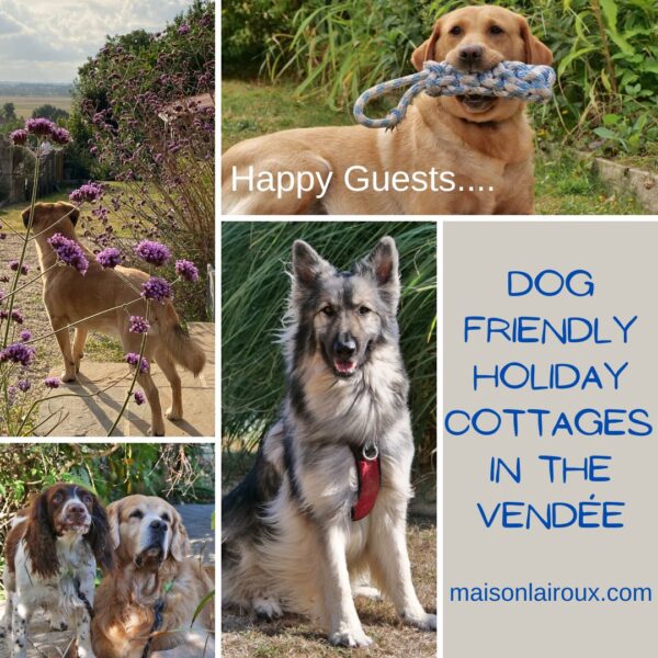 Gîte Le Vieux Café