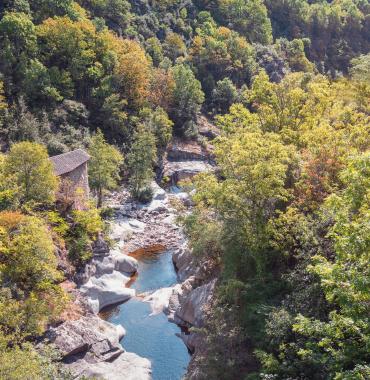 La Volane où les chiens sont acceptés, en Ardèche, en Auvergne-Rhône-Alpes