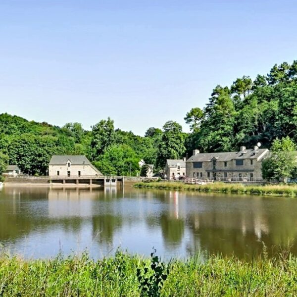 Le Domaine du Moulin Neuf - Terres de France
