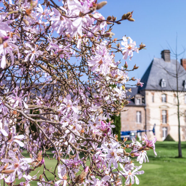 Extérieur du Domaine Les Ormes à Dol-de-Bretagne en Ille-et-Vilaine
