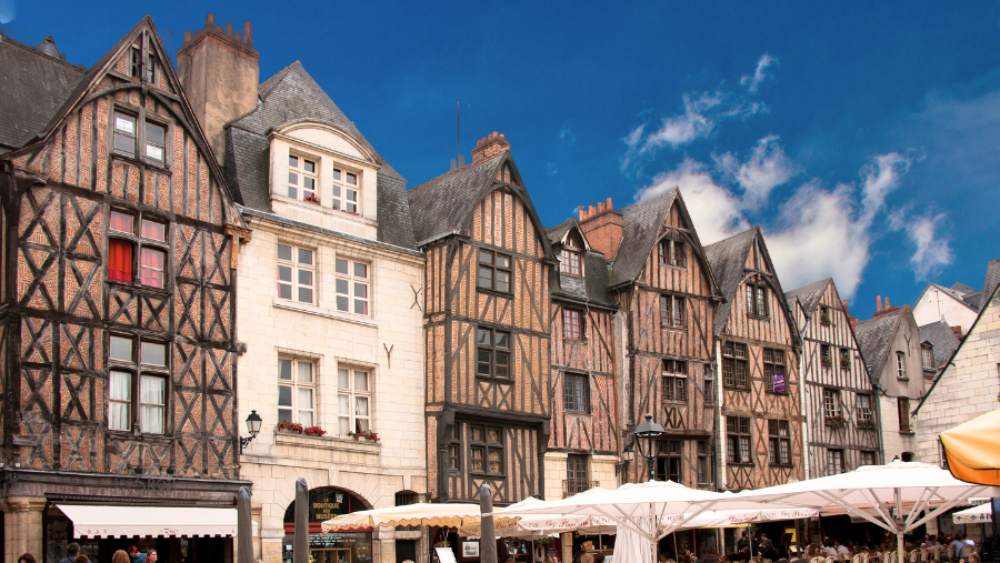 maisons à colombages de Tours pendant la visite avec son chien dans le Vieux-Tours