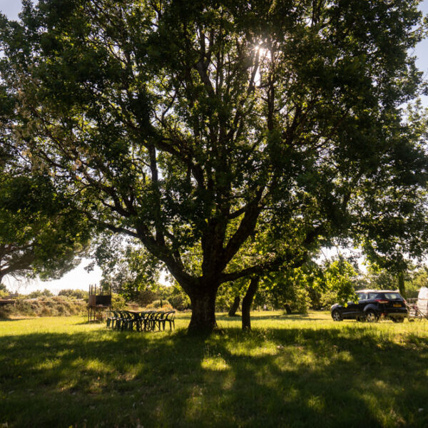 Champ du Camping de Briange proche de la grotte chauvet en Ardèche