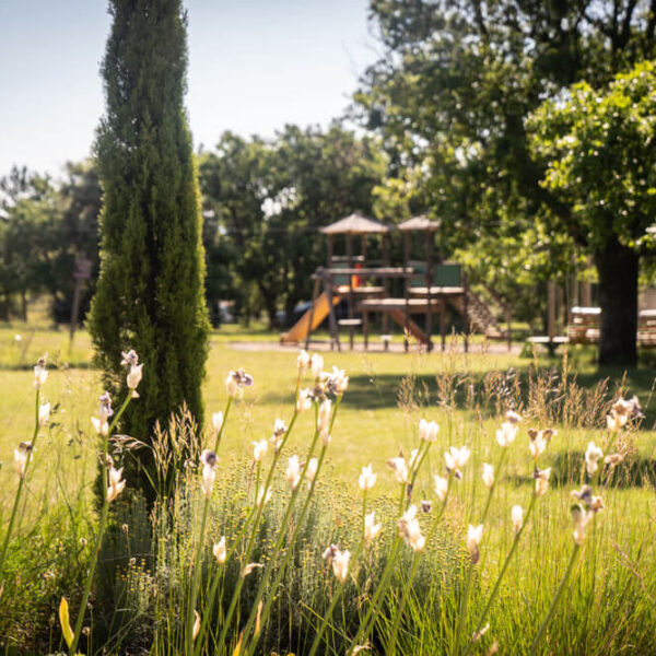 Champ du Camping de Briange proche de la grotte chauvet en Ardèche