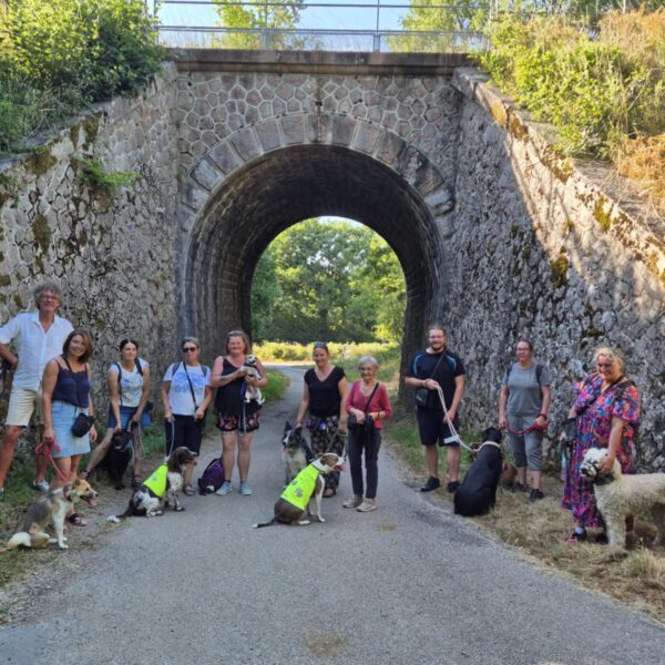 Atelier canin en groupe au Complexe Canin Stay Pawsitive à Courçais dans l' Allier