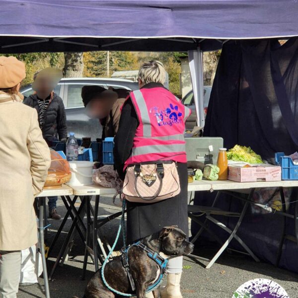 Stand avec alimentation et articles pour chiens et chats au Complexe Canin Stay Pawsitive à Courçais dans l' Allier