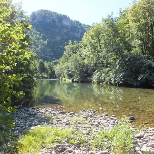 Rivière proche du Gîte les Vautours en Aveyron dans le Parc naturel Grands Causses