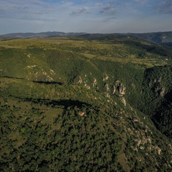 Nature autour du Gîte les Vautours en Aveyron dans le Parc naturel Grands Causses