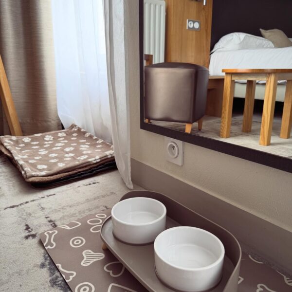 Chambres accessibles aux chiens avec gamelle, panier et plaid - Hôtel Le Cercle, à Cherbourg-en-Cotentin, dans la Manche, en Normandie