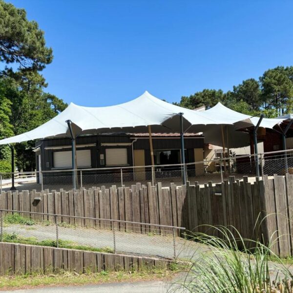 locatifs au camping Les Pins de la Coubre dans la ville de Les Mathes en Charente-Maritime
