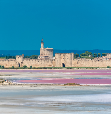 Aigues-Mortes où les chiens sont acceptés, en Camargue, en Occitanie