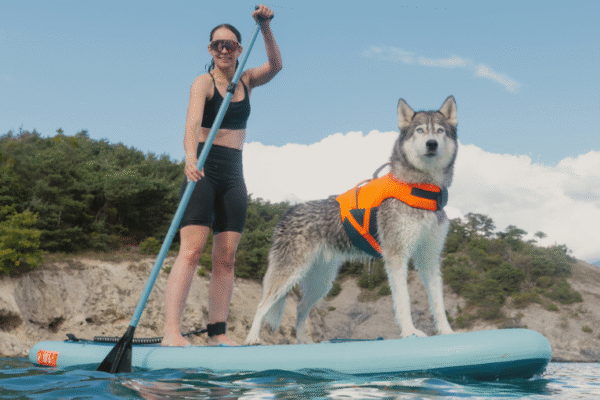 Gilet de flottaison pour chien Decathlon : les coulisses de conception et mon test avec Musher