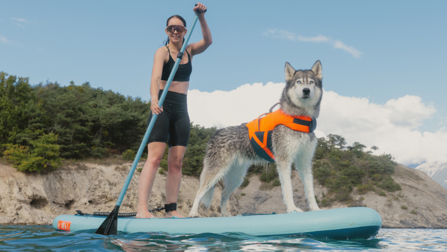 Gilet de flottaison pour chien Decathlon : les coulisses de conception et mon test avec Musher