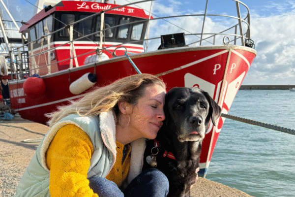 La Manche avec son chien : châteaux, abbayes et patrimoine