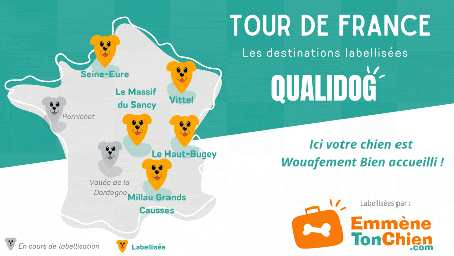 carte des offices de tourisme labellisé QUALIDOG