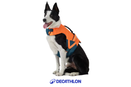 chien portant le gilet flottant d'aide à la nage Decathlon